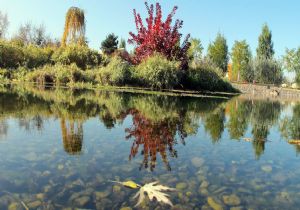 Botanik Bahçe Erzurum'un gözdesi
